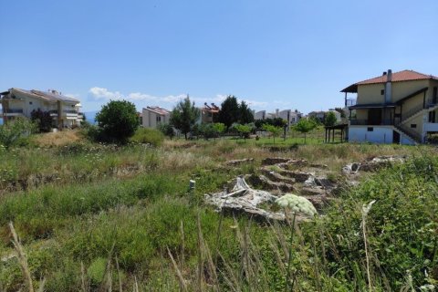 2200m² Land in Chalkidiki, Greece No. 56302 5