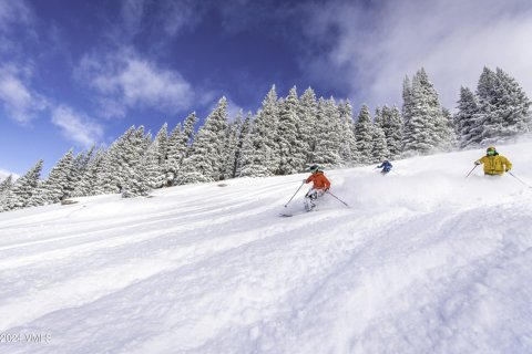 Кондоминиум  с 2 спальнями в Вейл, США №72472 29