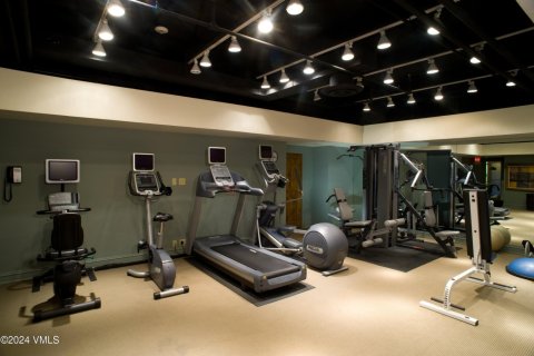 Кондоминиум  с 2 спальнями в Вейл, США №72472 17