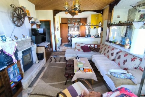 Дом с 3 спальнями в Пиерия, Греция №107459 19