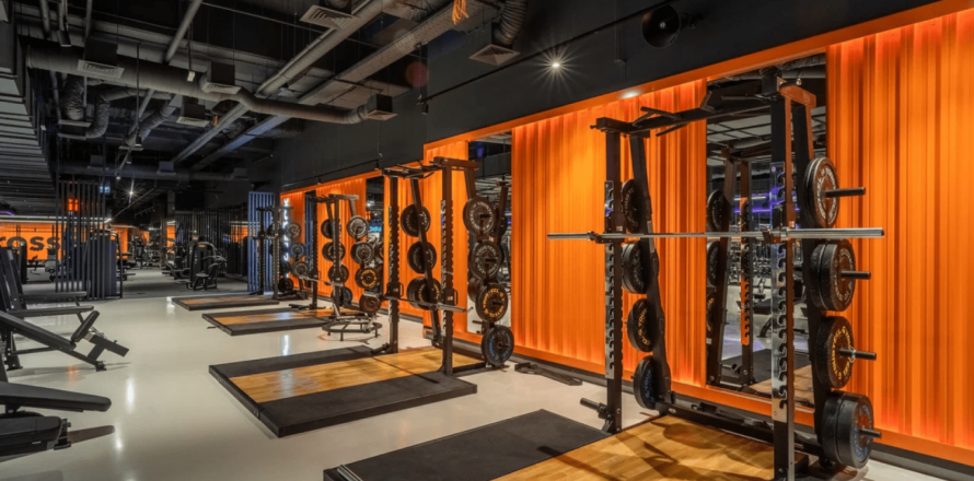 1069m² Commercial property in Thanh Son, Vietnam No. 110835