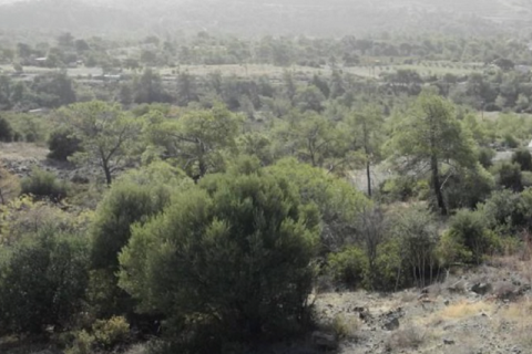 Commercial property in Germasogeia, Cyprus No. 35650 3