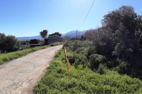 Земельный участок 24000м² в Малия, Греция №107285 8