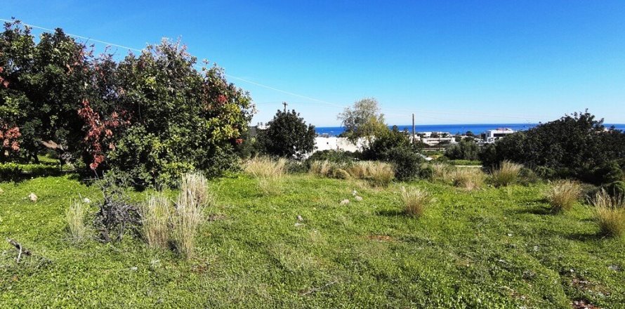 Земельный участок 24000м² в Малия, Греция №107285