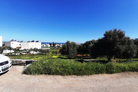 Земельный участок 24000м² в Малия, Греция №107285 3