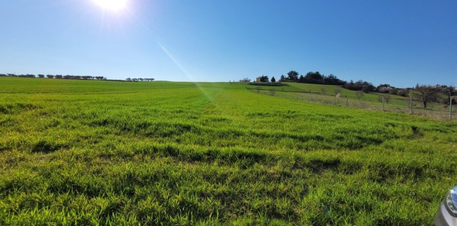 Земельный участок 5500м² в Салоники, Греция №108299