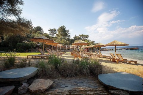 6 bedrooms Villa in Phi Dien, Vietnam No. 11453 4