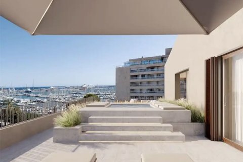 2 bedrooms Apartment on the Mallorca, Spain No. 117533