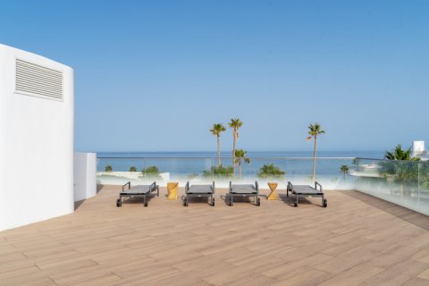 3 bedrooms Penthouse in Dinh An, Vietnam No. 27609 6