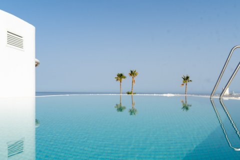 3 bedrooms Penthouse in Dinh An, Vietnam No. 27609 7