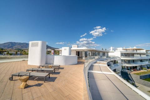 3 bedrooms Penthouse in Dinh An, Vietnam No. 27609 2