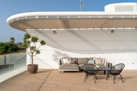 3 bedrooms Penthouse in Dinh An, Vietnam No. 27609 28