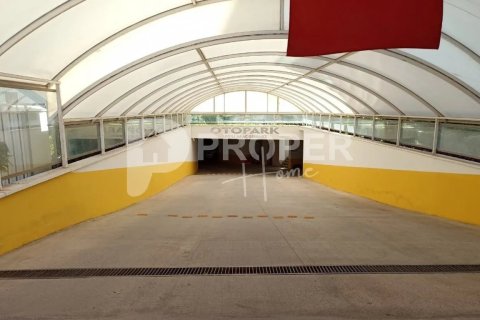 4 rooms Apartment in Dao Huu Canh, Vietnam No. 11708 5