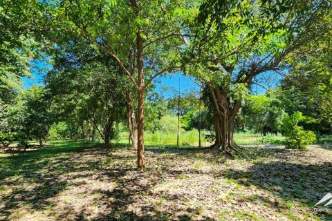 1550m² Warehouse en Chiang Mai, Thailand No. 98059 19