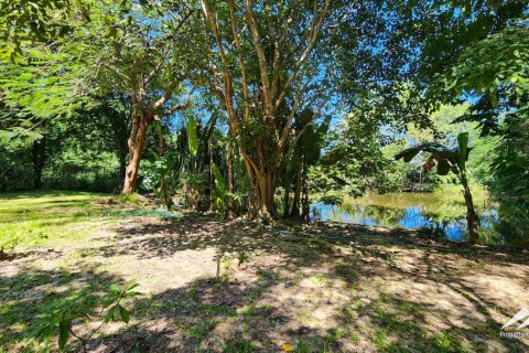 1550m² Warehouse en Chiang Mai, Thailand No. 98059 21