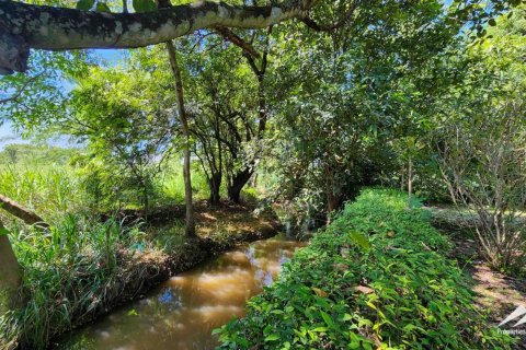 1550m² Warehouse en Chiang Mai, Thailand No. 98059 11