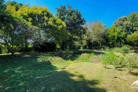 1550m² Warehouse en Chiang Mai, Thailand No. 98059 14