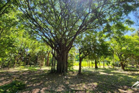 1550m² Warehouse en Chiang Mai, Thailand No. 98059 18