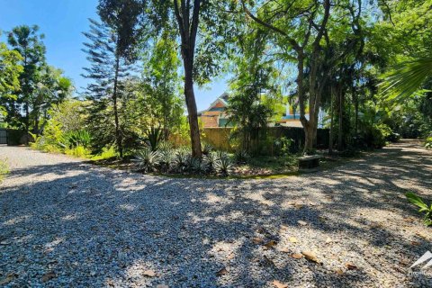 1550m² Warehouse en Chiang Mai, Thailand No. 98059 12