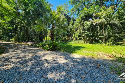 1550m² Warehouse en Chiang Mai, Thailand No. 98059 23