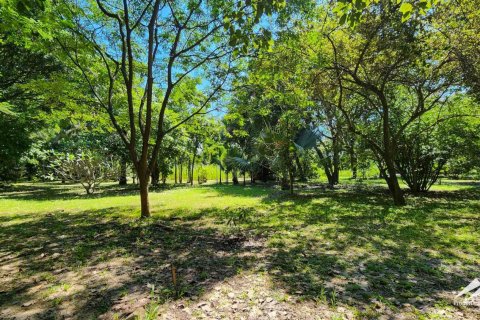 1550m² Warehouse en Chiang Mai, Thailand No. 98059 15