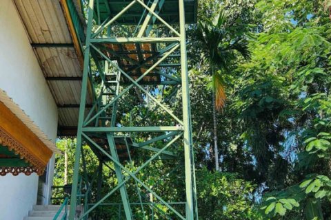 1550m² Warehouse en Chiang Mai, Thailand No. 98059 30