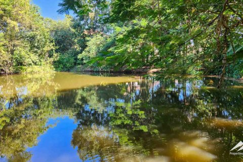 1550m² Warehouse en Chiang Mai, Thailand No. 98059 16