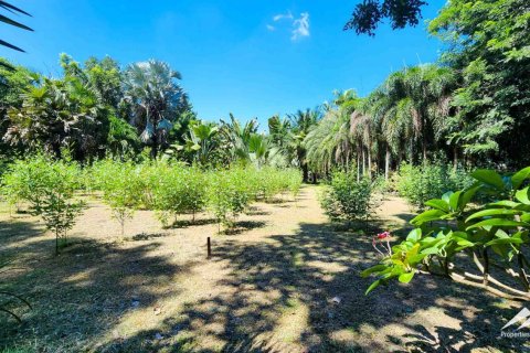 1550m² Warehouse en Chiang Mai, Thailand No. 98059 22