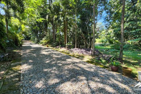 1550m² Warehouse en Chiang Mai, Thailand No. 98059 13