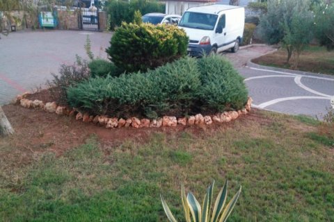 3 bedrooms Apartment in Hoa Vang, Vietnam No. 12755 6