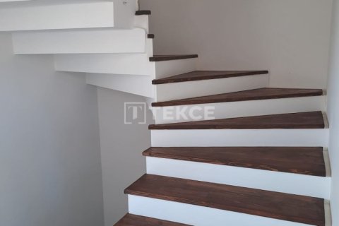 5 bedrooms Villa in Chau Lang, Vietnam No. 11686 9