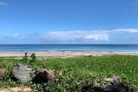 3 chambres Appartement à Tamarin, Maurice No. 60912 3