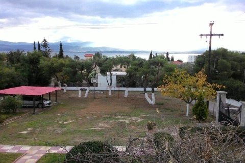 4 bedrooms House in Euboea, Greece No. 56106 5
