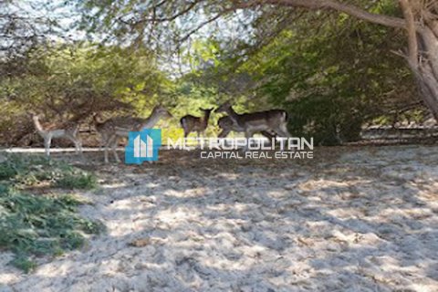 756.2m² Land in Rayhanah Avenue, Vietnam No. 61021 3