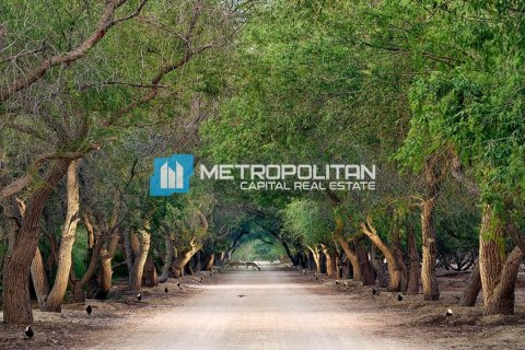 756.2m² Land in Rayhanah Avenue, Vietnam No. 61021 2