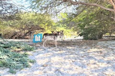 756.2m² Land in Rayhanah Avenue, Vietnam No. 61021 8