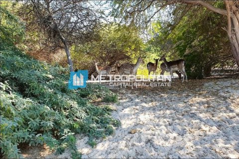 756.2m² Land in Rayhanah Avenue, Vietnam No. 61021 7