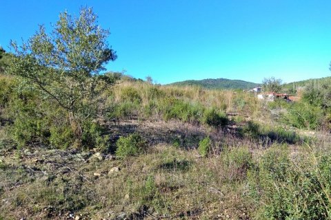 36000m² Land en Chalkidiki, Greece No. 58402 6