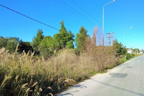 36000m² Land en Chalkidiki, Greece No. 58402 10