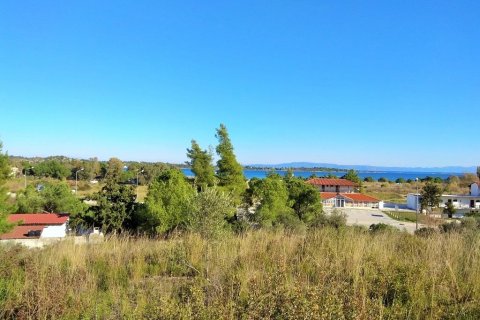 36000m² Land en Chalkidiki, Greece No. 58402 2