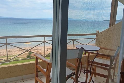 3 chambres Townhouse à Chalkidiki, Greece No. 104918 5