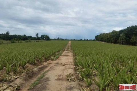 92780m² Land in Hua Hin, Thailand No. 96360 11