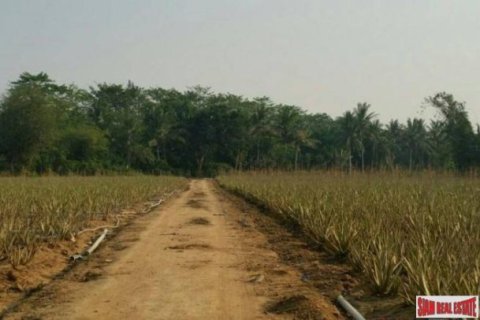 92780m² Land in Hua Hin, Thailand No. 96360 7