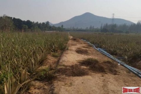 92780m² Land in Hua Hin, Thailand No. 96360 6