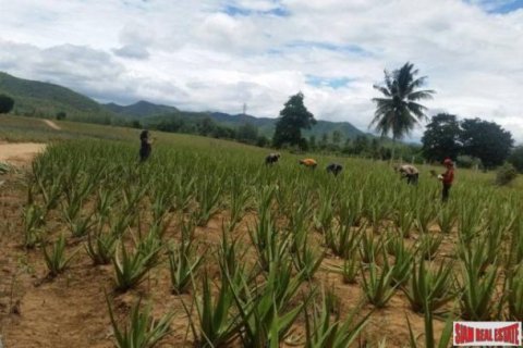 92780m² Land in Hua Hin, Thailand No. 96360 12