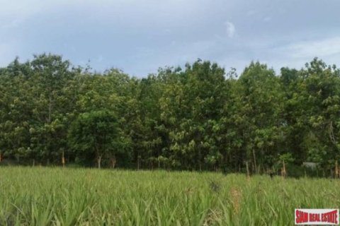 92780m² Land in Hua Hin, Thailand No. 96360 9