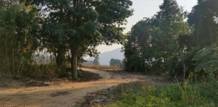 92780m² Land in Hua Hin, Thailand No. 96360