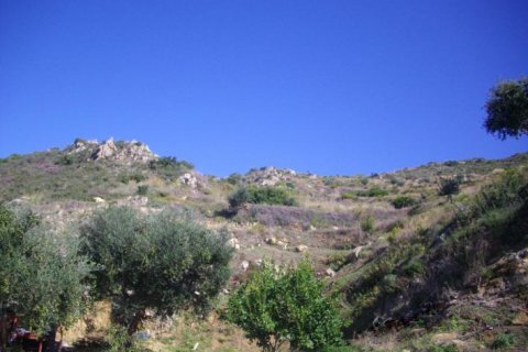 Land in Zakynthos, Greece No. 24796 10