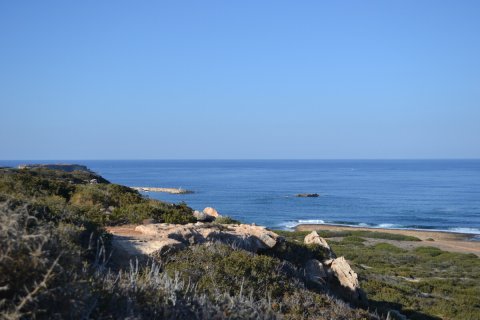 6 rooms Villa in Limassol, Cyprus No. 107132 14