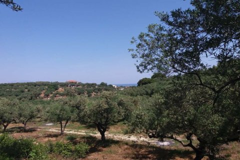 Земельный участок в Закинтос, Греция №69526 4